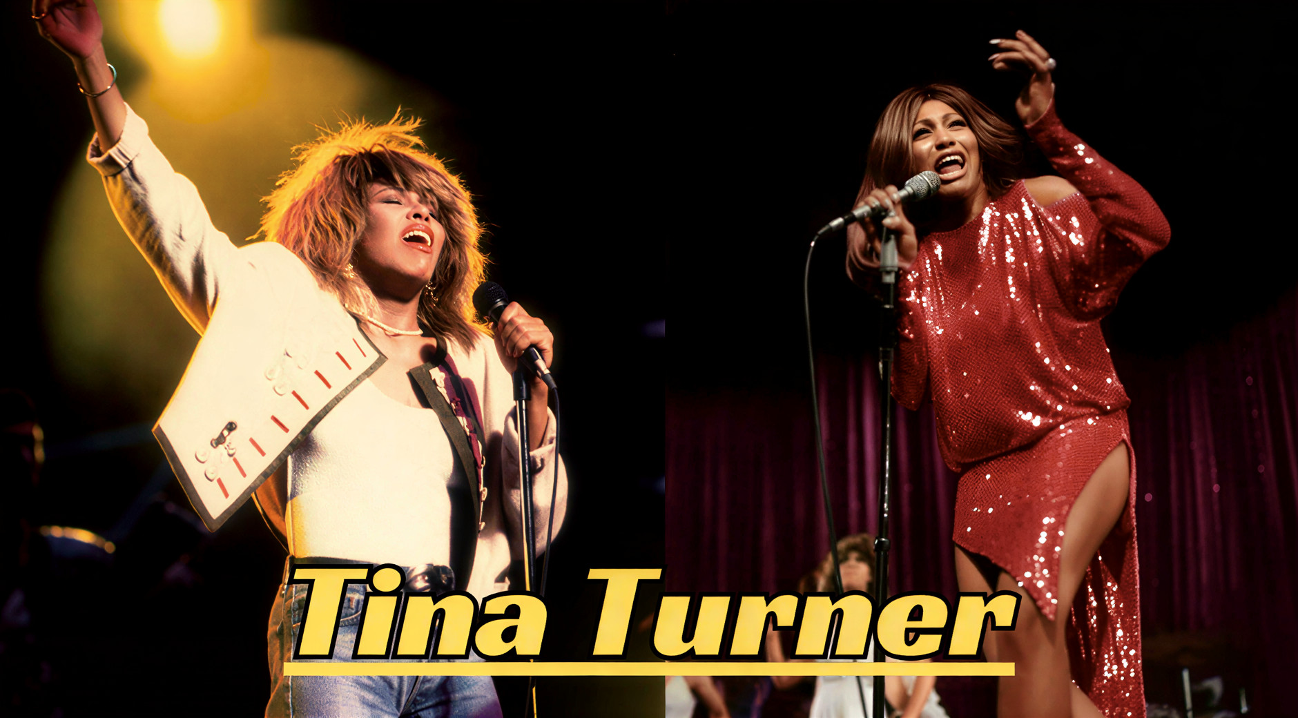 Tina Turner Age, Networth, Height and Social Media Presence 2026