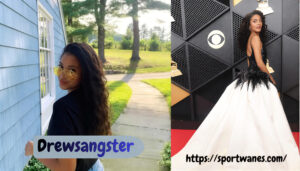 Drew Sangster Biography – Age, Net Worth,, Romeo Miller’s Partner, Kids, Business & Untold Facts